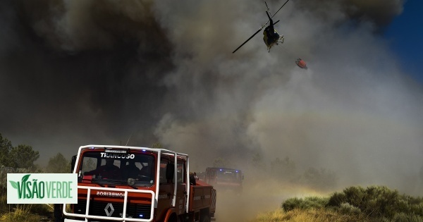 Huit moyens aériens mobilisés pour l'incendie de la Serra da Estrela